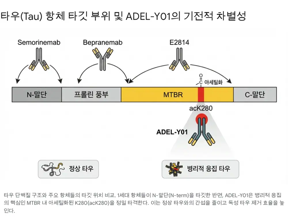 아델 ADEL-Y01 및 알츠하이머 치료제 분석 원문 이미지 2