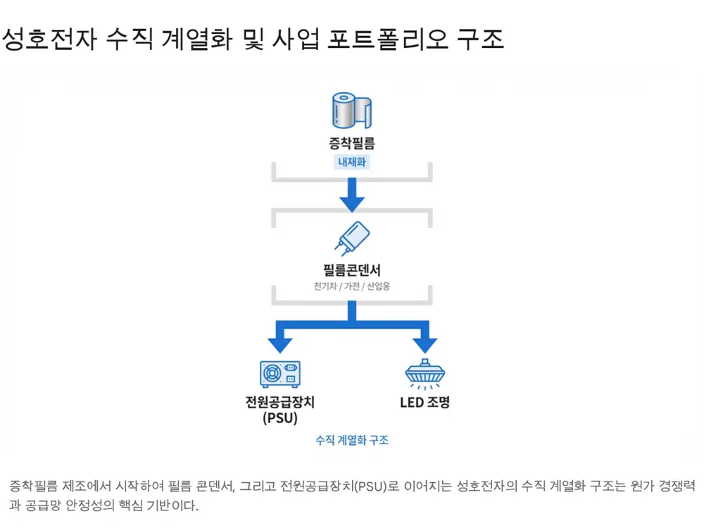 성호전자의 사업 확장과 지배구조 변화를 설명하는 원문 이미지