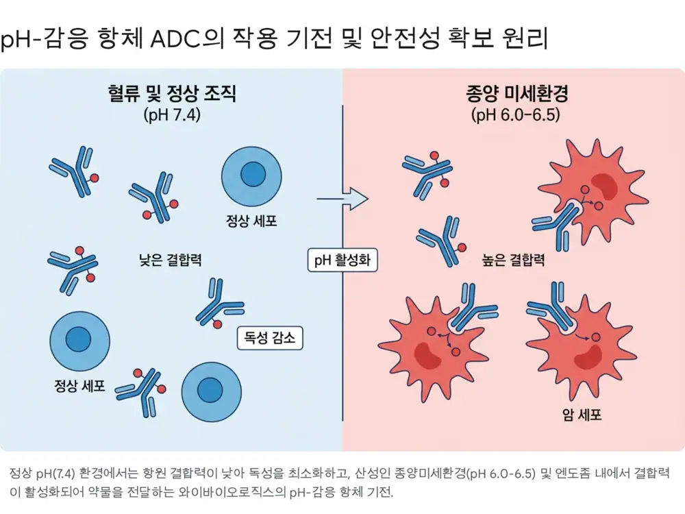 Original Y-Biologics company-analysis image 1