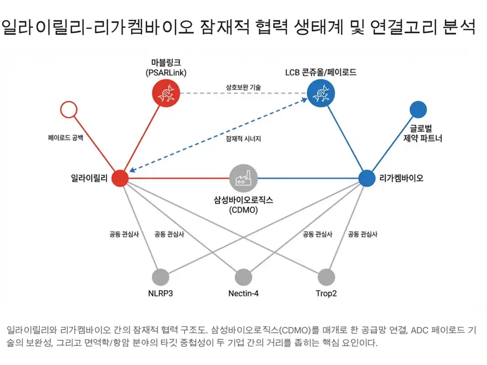 ADC 플랫폼과 파트너링 구조 관련 원문 이미지