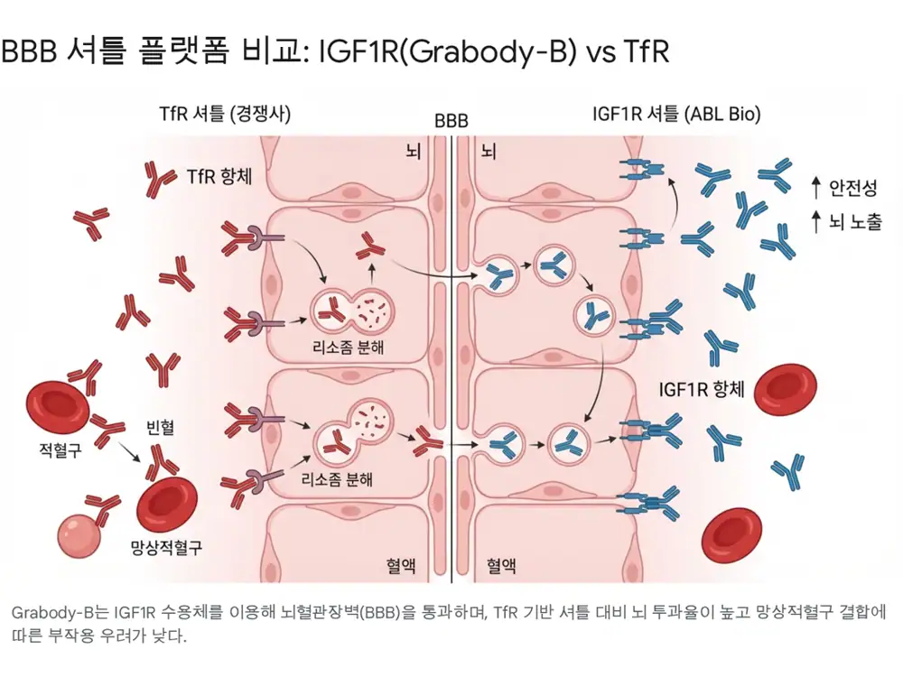 ABL Bio BBB 셔틀 및 항암 파이프라인 비교 이미지